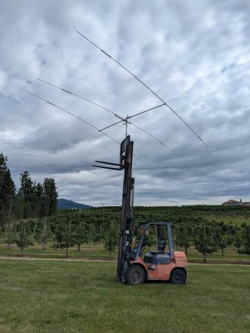 yagi